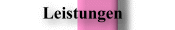 Leistung
